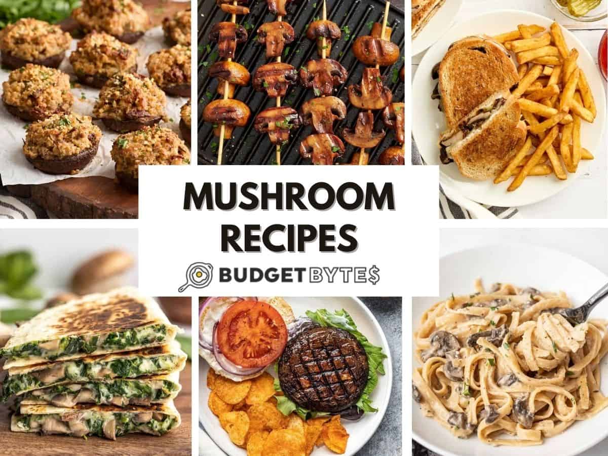 23 Mushroom Recipes