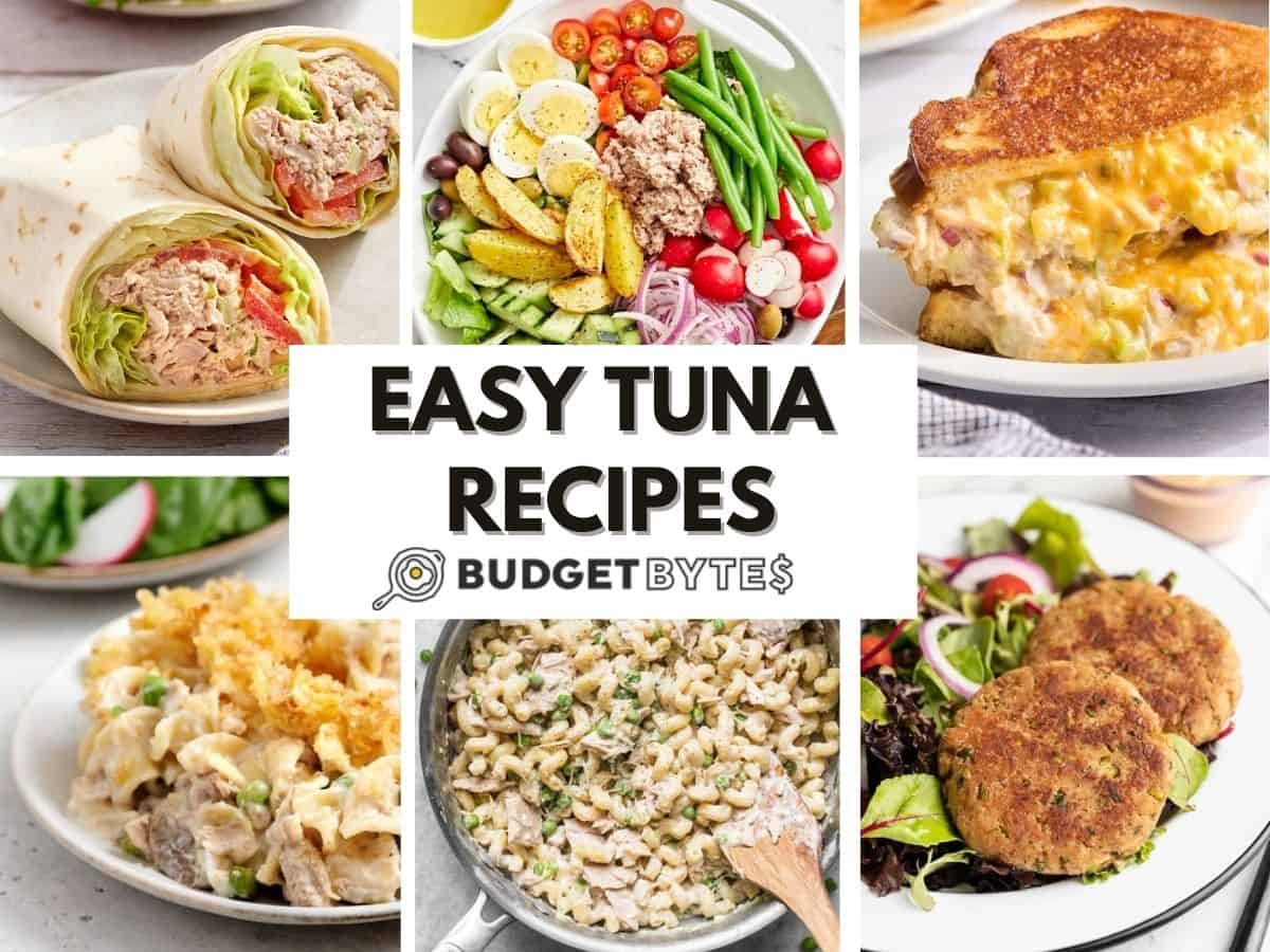 14 Tuna Recipes