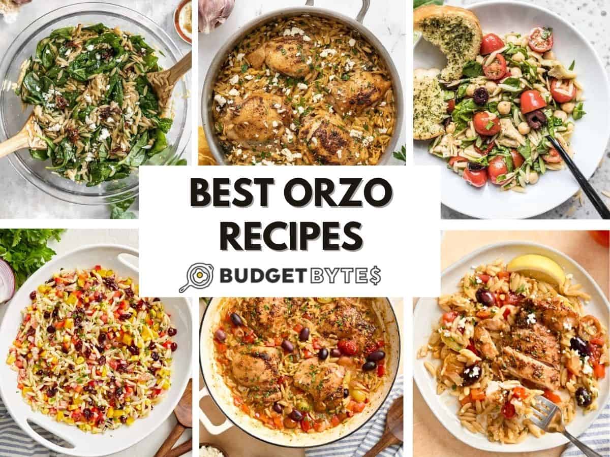 12 Orzo Recipes You Need to Try!
