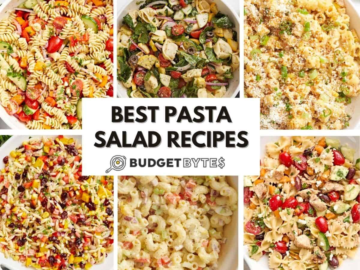 Best Pasta Salad Recipes